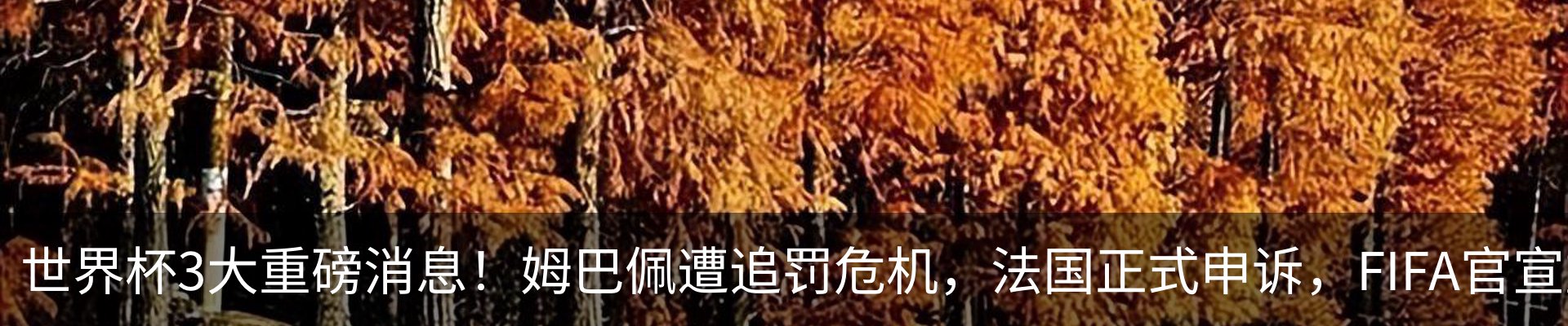 新闻中心